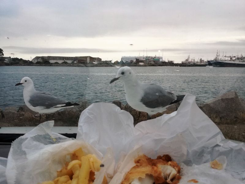 300m2 Plot for sale for R499 000-00 in Steenbergs Cove, St Helena Bay - Photo 10