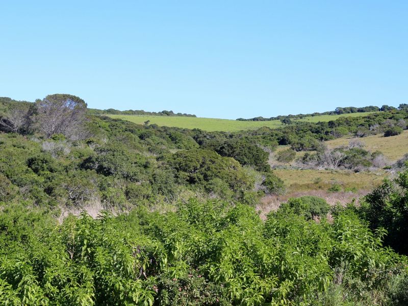 Coastal Land Ownership Opportunity in Umdoni Downs, Port Alfred - Photo 6