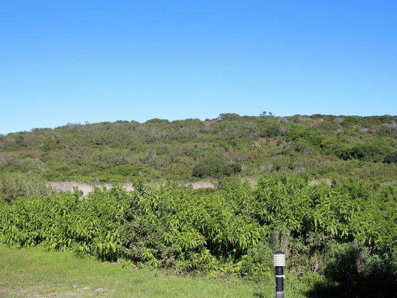 Coastal Land Ownership Opportunity in Umdoni Downs, Port Alfred - Photo 7