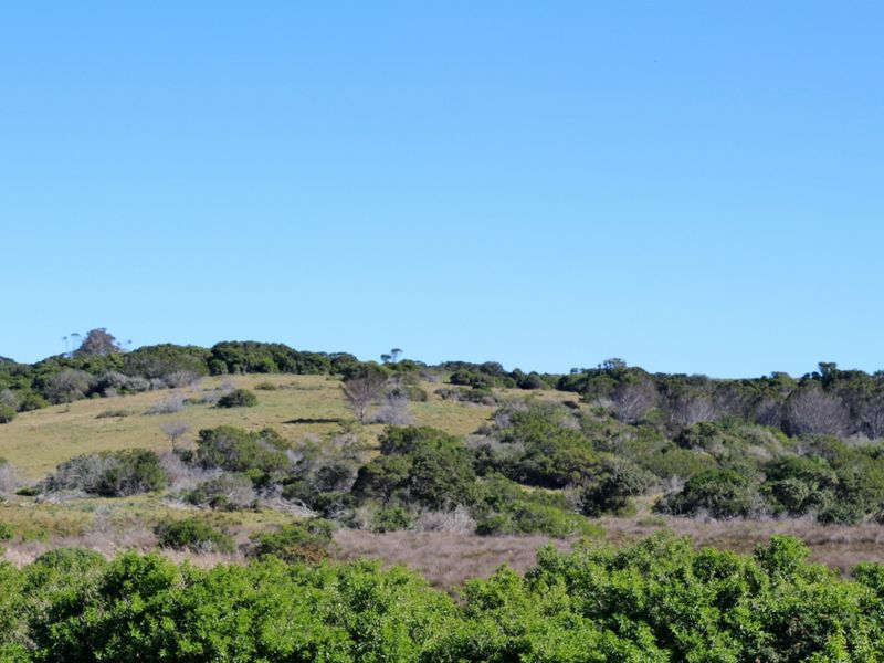 Coastal Land Ownership Opportunity in Umdoni Downs, Port Alfred - Photo 9