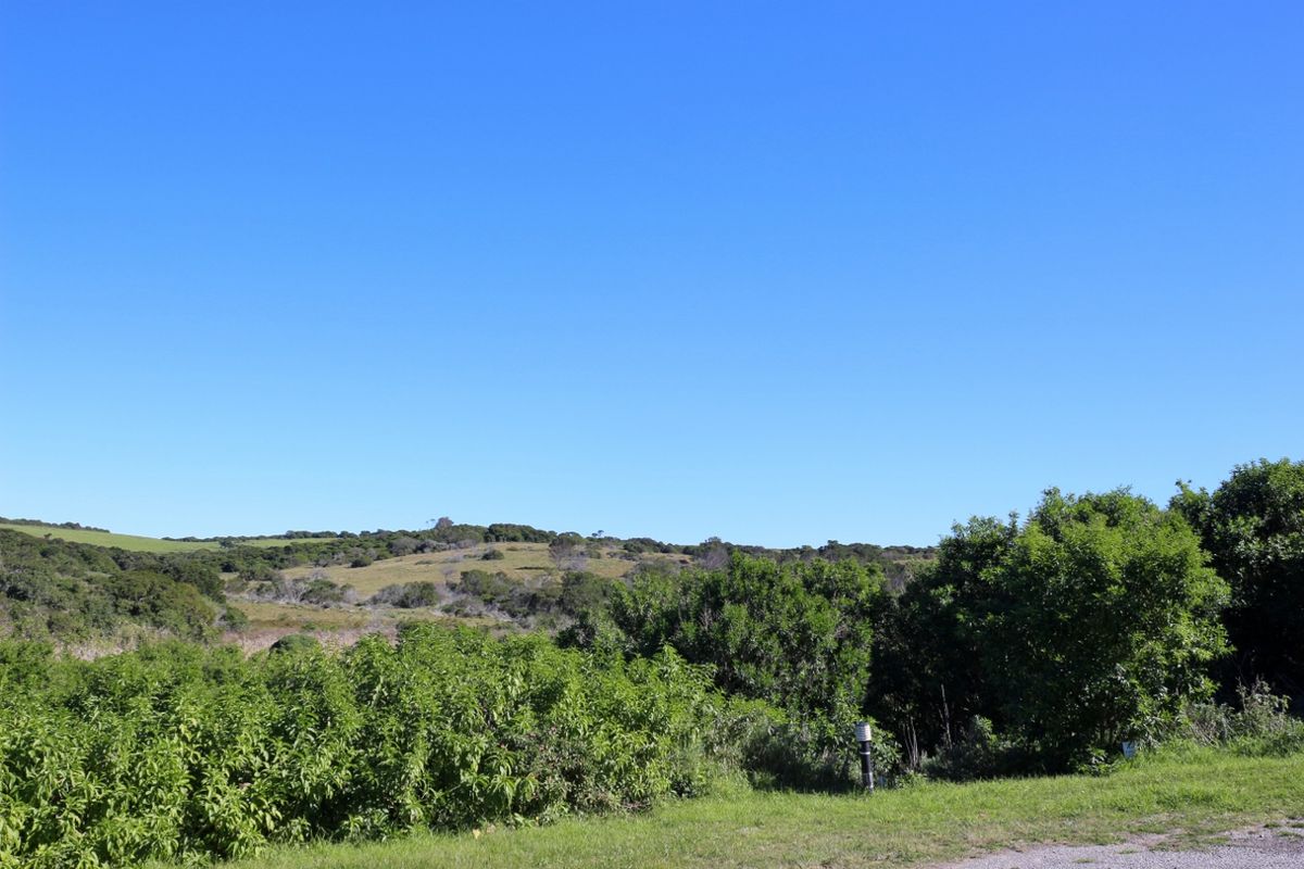 Coastal Land Ownership Opportunity in Umdoni Downs, Port Alfred - Photo 4