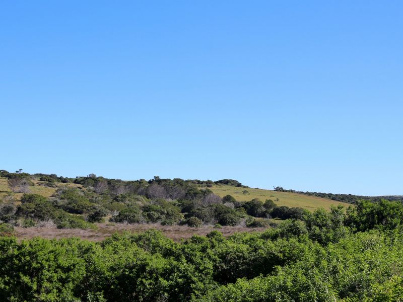 Coastal Land Ownership Opportunity in Umdoni Downs, Port Alfred - Photo 8