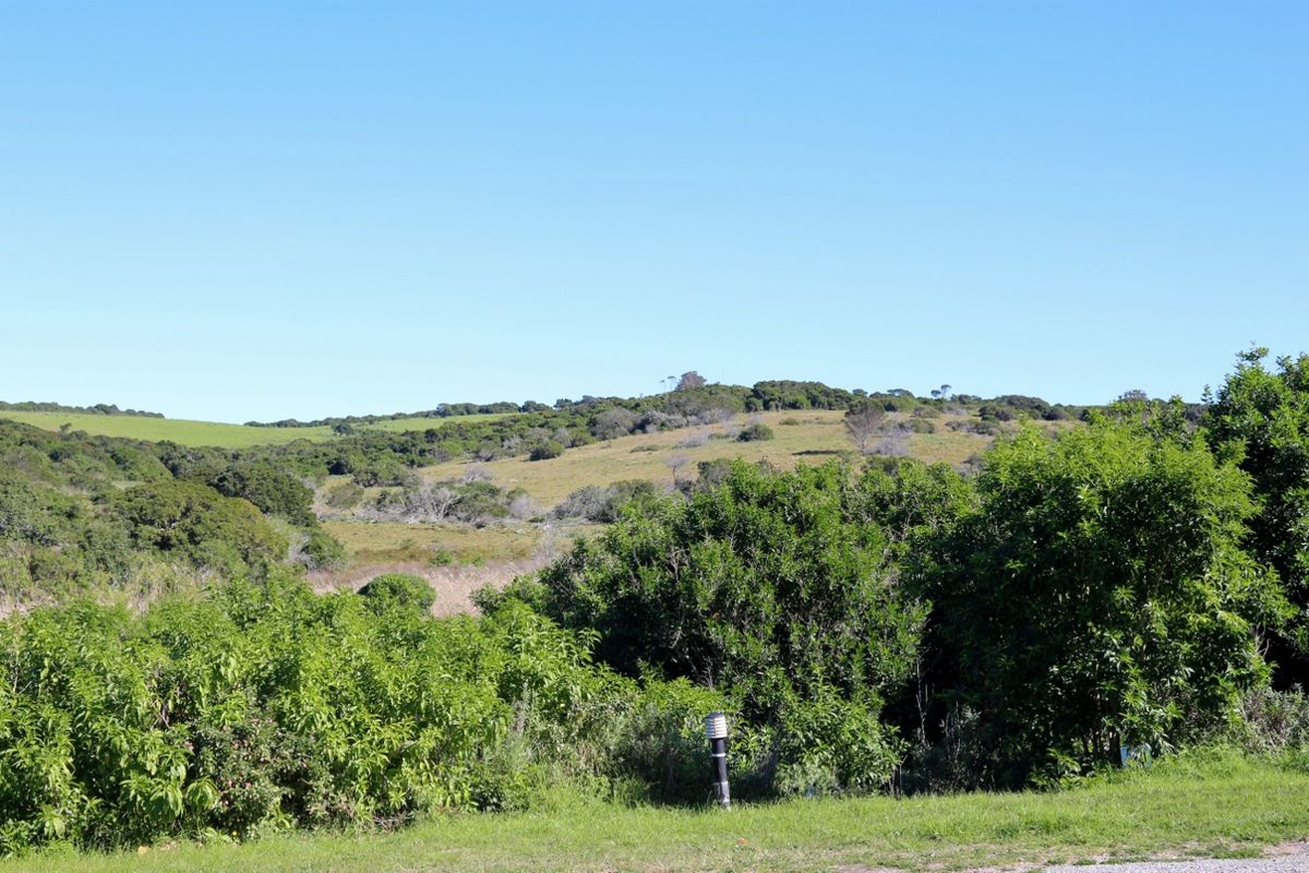 Coastal Land Ownership Opportunity in Umdoni Downs, Port Alfred - Photo 2
