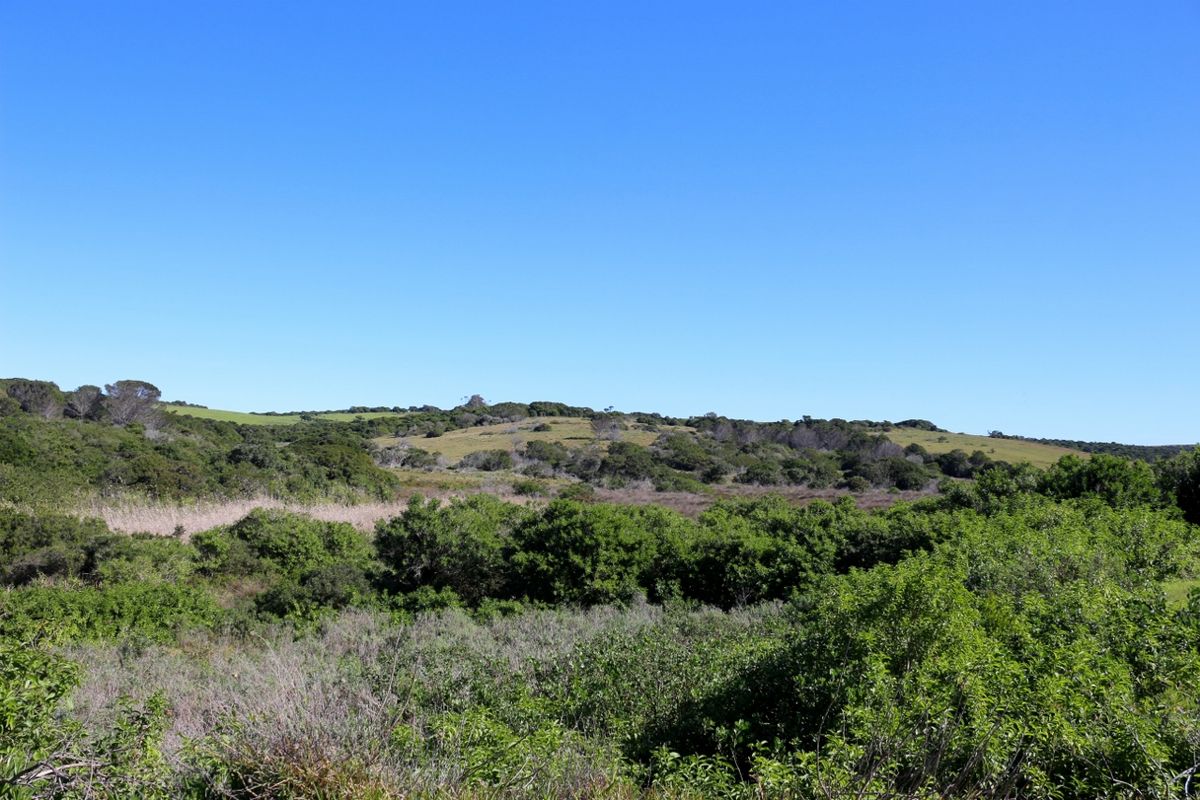 Coastal Land Ownership Opportunity in Umdoni Downs, Port Alfred - Photo 5