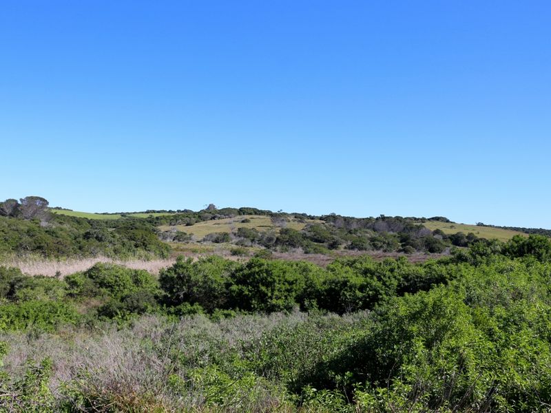 Coastal Land Ownership Opportunity in Umdoni Downs, Port Alfred - Photo 5