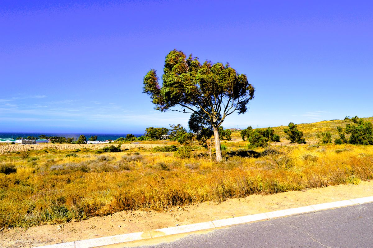 404m2 Plot for sale for only R399 000-00 at Kapteinskloof, St Helena Bay, West Coast - Photo 2