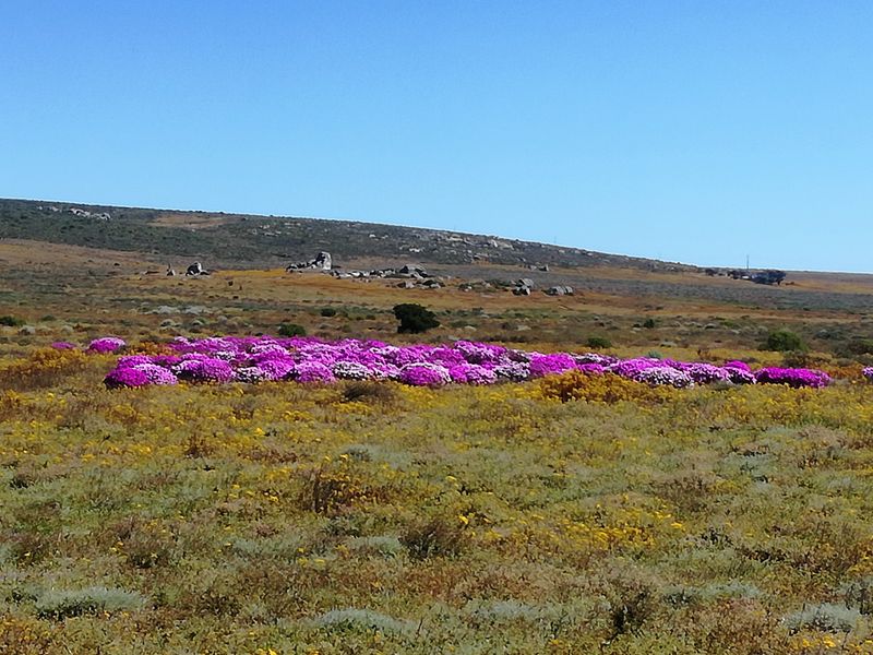 400m2 Plot for sale for only R399 000-00 in Kapteinskloof, St Helena Bay, West Coast - Photo 10