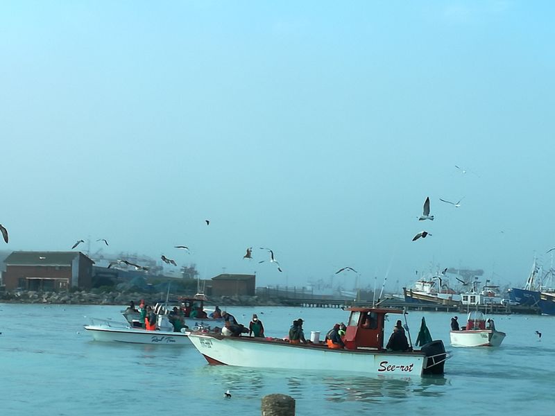 400m2 Plot for sale for only R399 000-00 in Kapteinskloof, St Helena Bay, West Coast - Photo 9