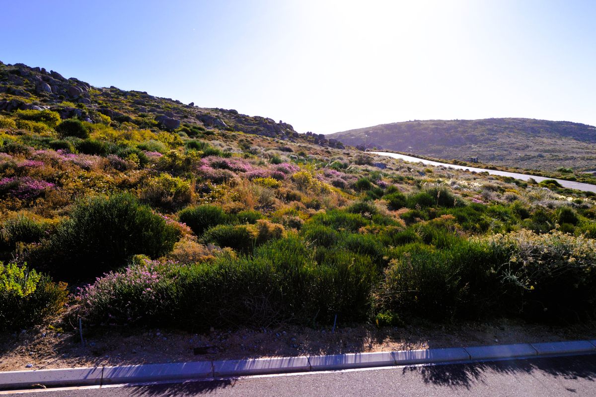 365m2Plot for sale for only R499 000-00 in Kapteinskloof, St Helena Bay, West Coast - Photo 3