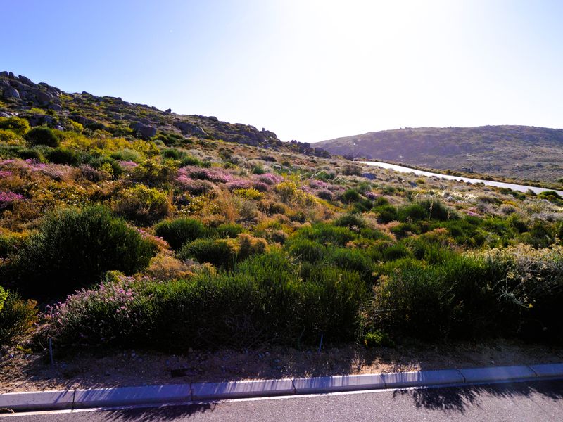 365m2Plot for sale for only R499 000-00 in Kapteinskloof, St Helena Bay, West Coast - Photo 3