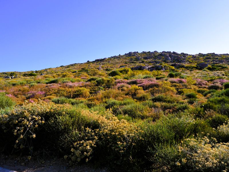 365m2Plot for sale for only R499 000-00 in Kapteinskloof, St Helena Bay, West Coast - Photo 2