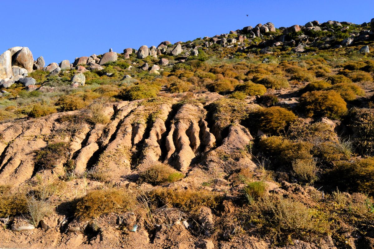 A view of the sloped, natural landscape featuring rocky outcrops and native vegetation, showing signs of soil erosion on the hillside.