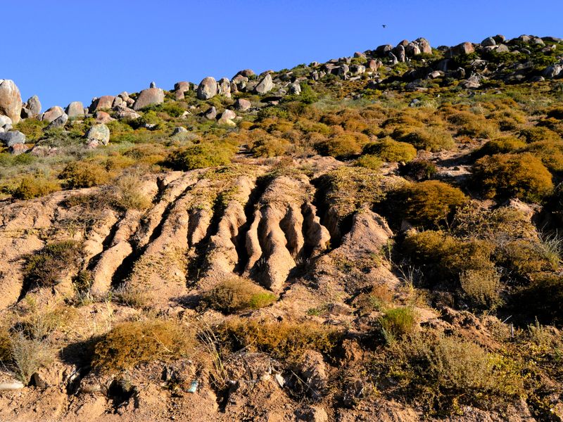 A view of the sloped, natural landscape featuring rocky outcrops and native vegetation, showing signs of soil erosion on the hillside.