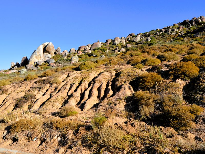 A view of the sloped, natural terrain featuring native vegetation and prominent rock formations on the vacant residential land.