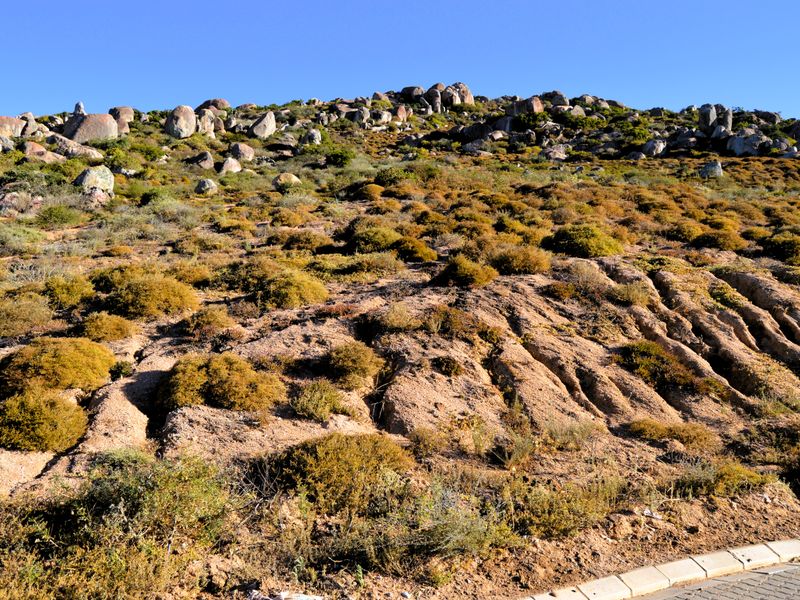 A sloped residential plot featuring natural rock formations, native shrubbery, and visible soil erosion, bordered by a concrete curb.