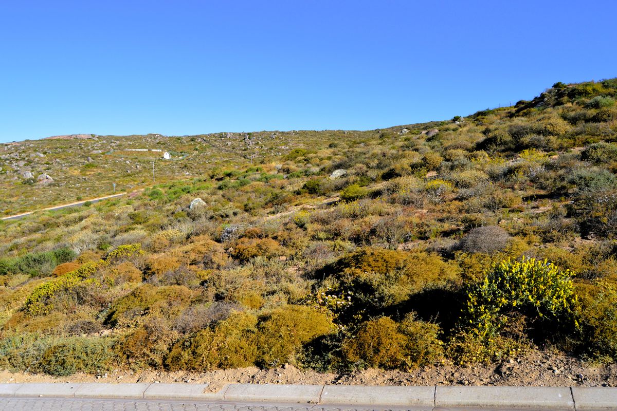 466m2 Plot for sale for only R599 000-00 in Kapteinskloof, St Helena Bay, West Coast - Photo 3