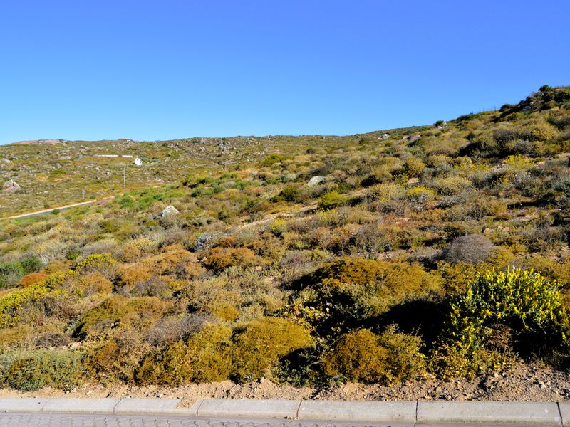 466m2 Plot for sale for only R599 000-00 in Kapteinskloof, St Helena Bay, West Coast - Photo 3
