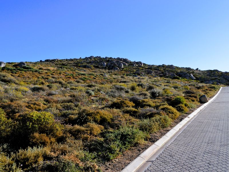 466m2 Plot for sale for only R599 000-00 in Kapteinskloof, St Helena Bay, West Coast - Photo 5