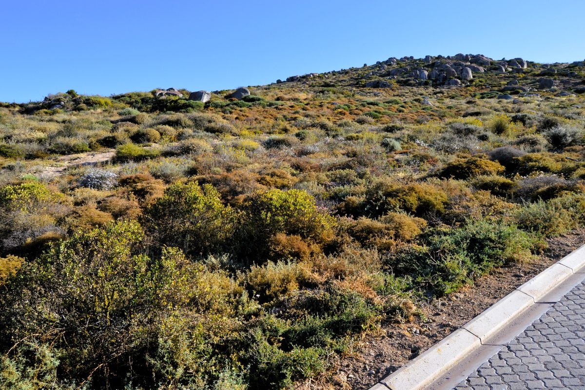 466m2 Plot for sale for only R599 000-00 in Kapteinskloof, St Helena Bay, West Coast - Photo 4