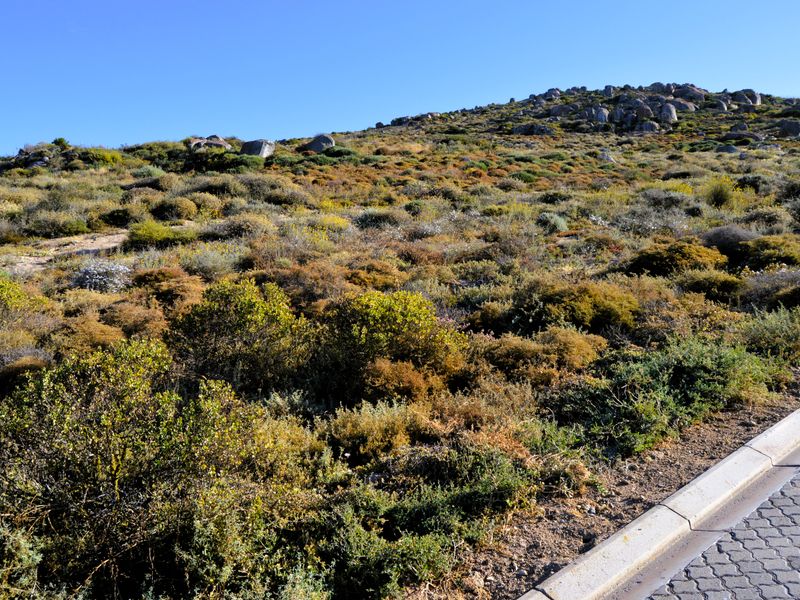 466m2 Plot for sale for only R599 000-00 in Kapteinskloof, St Helena Bay, West Coast - Photo 4