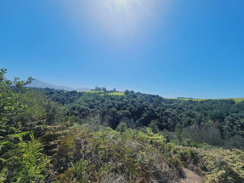 A scenic, elevated view overlooking a lush, forested valley and rolling green hills under a clear blue sky.