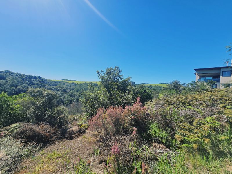 A scenic view of the natural landscape and surrounding greenery from the vacant residential property.