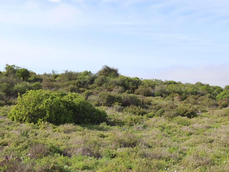 Vacant land for Sale in Shelley Point - Photo 10
