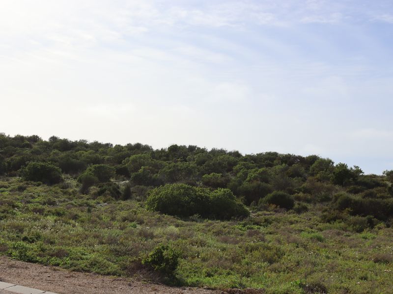 Vacant land for Sale in Shelley Point - Photo 6