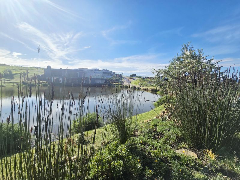 A scenic view of a tranquil pond surrounded by landscaped greenery and native vegetation, showcasing the peaceful estate environment.