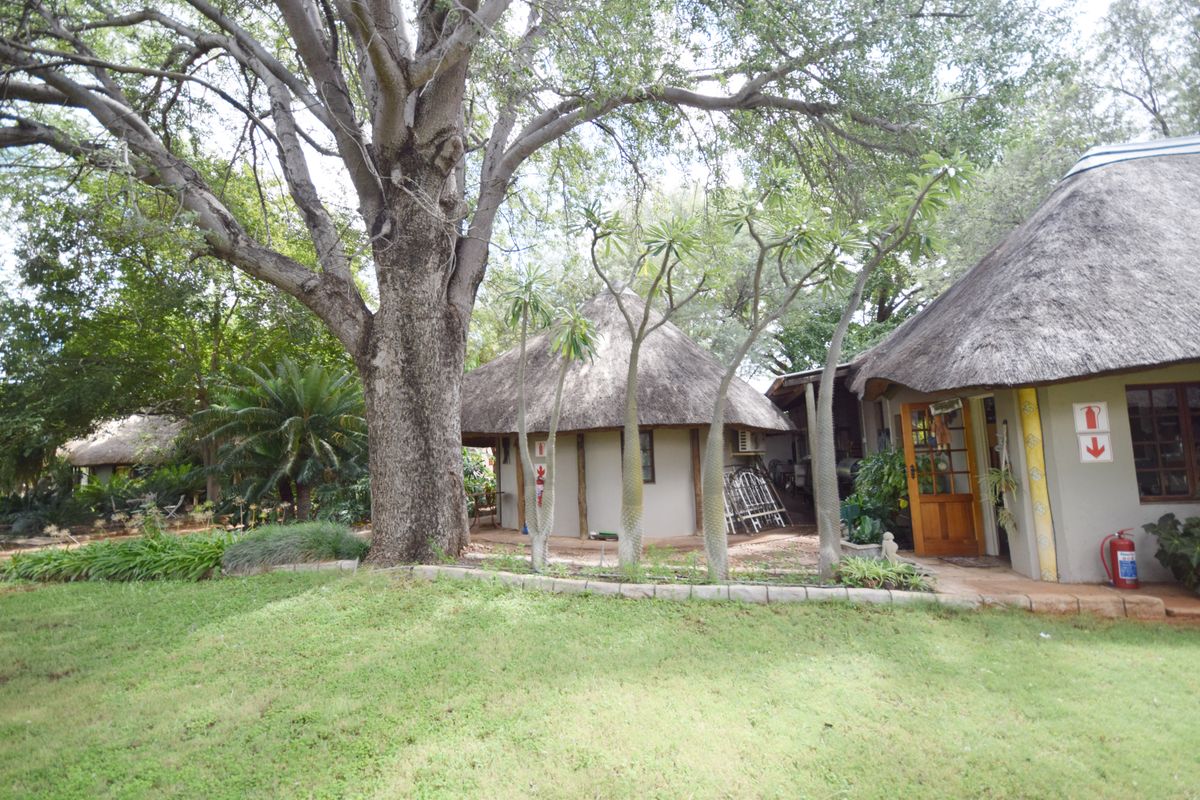 A view of the lodge exterior featuring traditional thatched roof structures, mature trees, and landscaped garden areas.