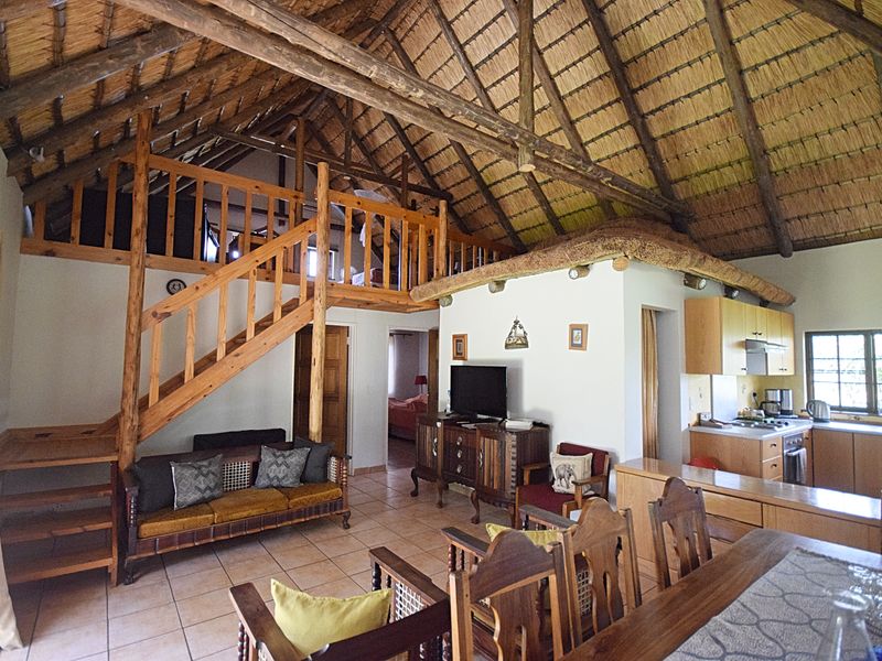 Open-plan living area featuring a high thatched ceiling with exposed timber trusses, a mezzanine level, and a functional kitchen with built-in cabinetry.
