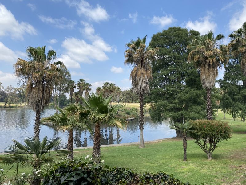 A scenic view of a tranquil lake surrounded by mature palm trees and well-maintained green lawns.