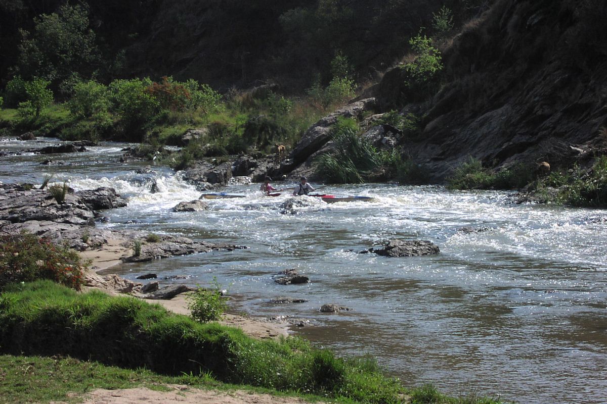 Lifetime opportunity to buy into the Crocodile River Reserve - Photo 3