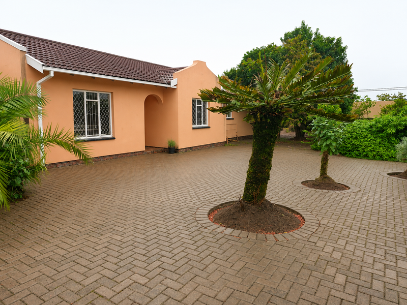 Front view of a single-story house featuring a paved driveway, arched entrance, and tiled roof with leaded glass windows.
