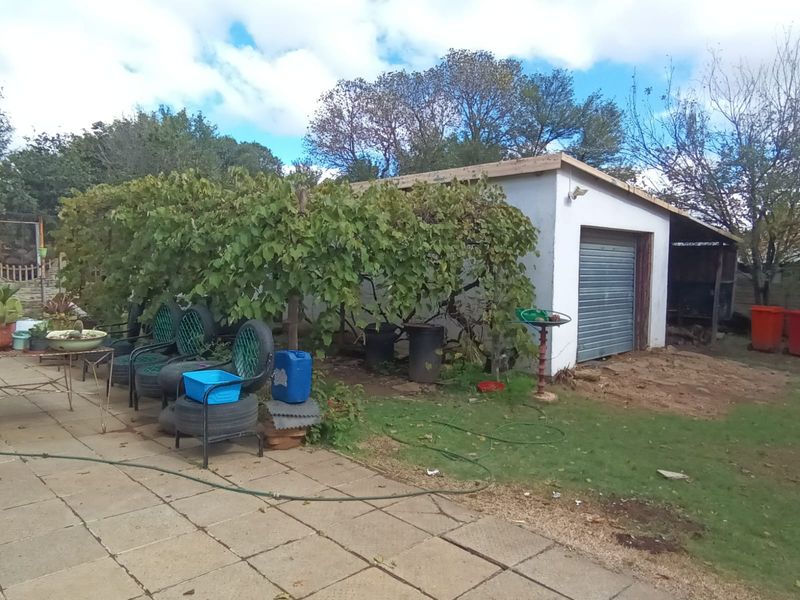 Detached garage structure featuring a roller shutter door, adjacent to a paved patio area and established vine trellis.