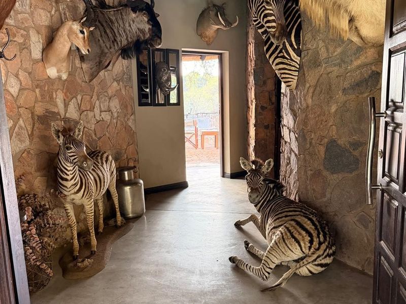 Entrance hall featuring rustic stone-clad walls, polished concrete flooring, and a traditional thatched ceiling, creating a distinct bushveld aesthetic.