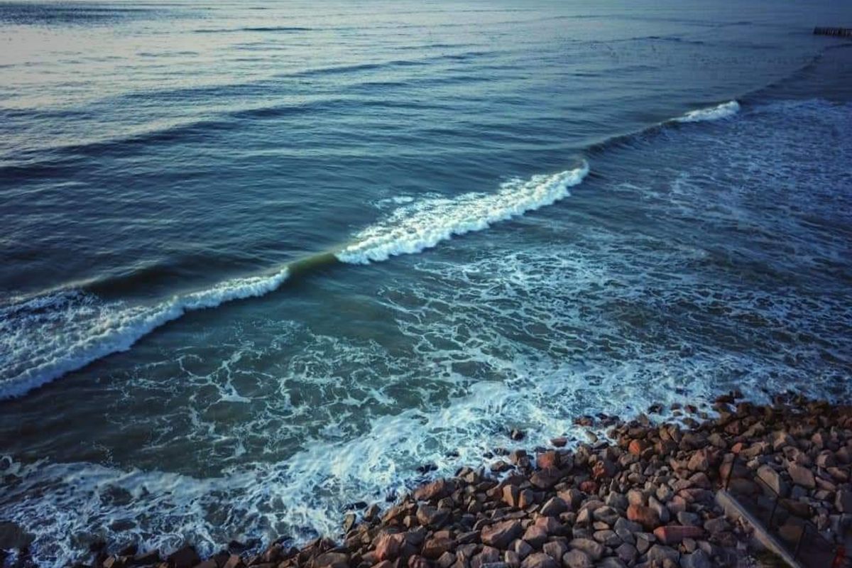 480 m2  of land situated in this stunning West Coast , Admiral Island - Port Owen area. - Photo 3