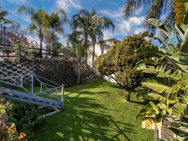 A well-maintained terraced garden featuring a lush lawn, mature palm trees, and a metal staircase leading to the upper level of the property.