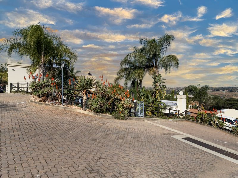 A paved driveway leading to the townhouse complex, featuring landscaped retaining walls with mature palm trees and aloe plants.