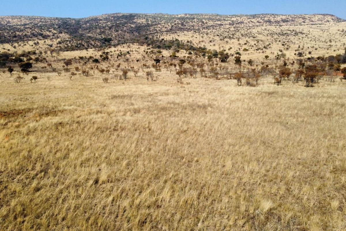 An expansive view of the open farm landscape featuring rolling hills and natural dry grassland terrain.
