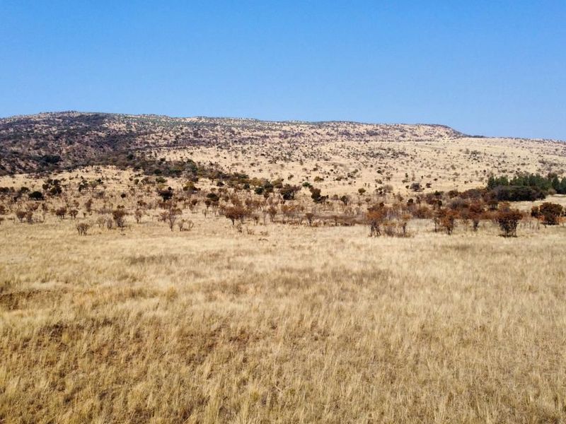 Expansive view of the open farm landscape featuring rolling hills and natural dry grassland vegetation under a clear blue sky.