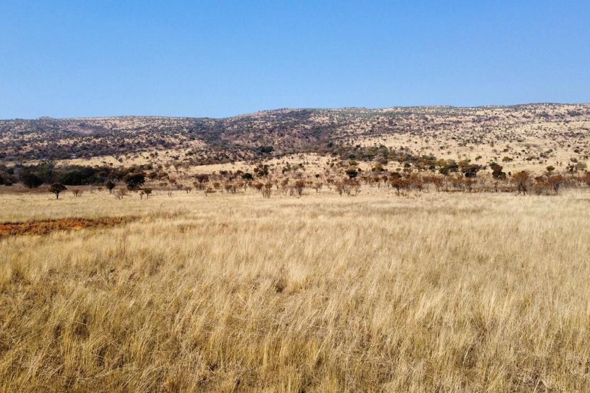 Expansive view of the open farm landscape featuring rolling hills and natural dry grassland terrain.