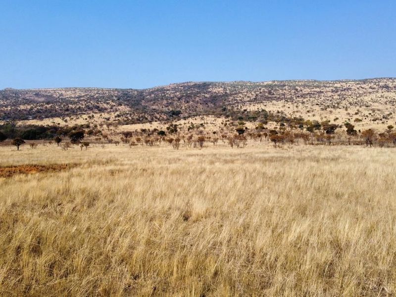 Expansive view of the open farm landscape featuring rolling hills and natural dry grassland terrain.