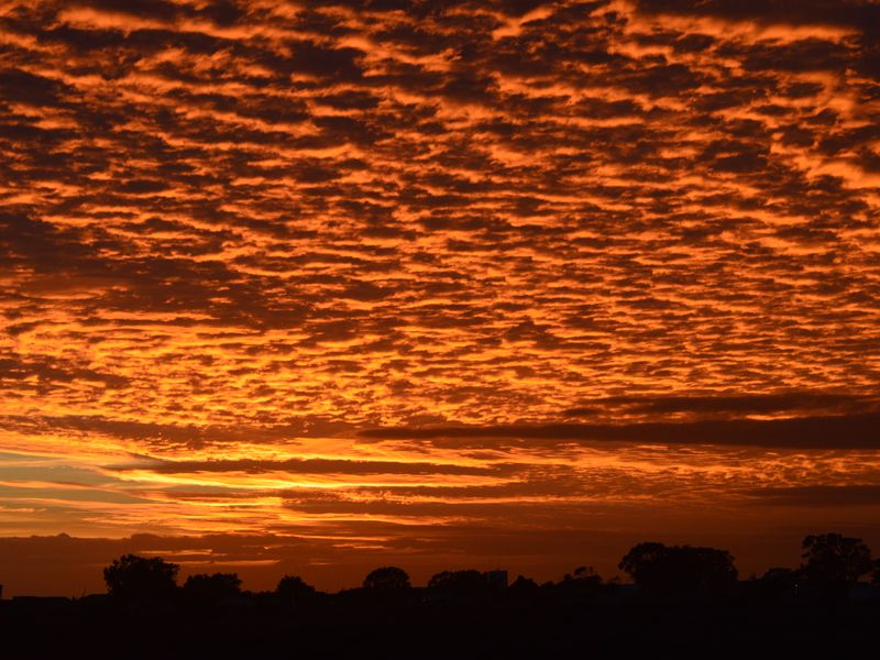 Not to be missed!!! A 400m2 Erf @ R699 000-00 in St Helena Bay. - Photo 8