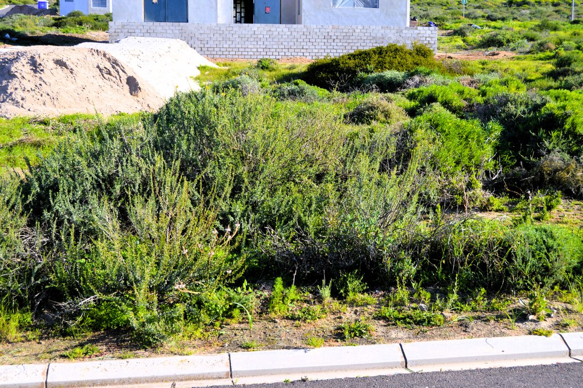 Not to be missed!!! A 324m2 Erf @ R399 000-00 in St Helena Bay. - Photo 3