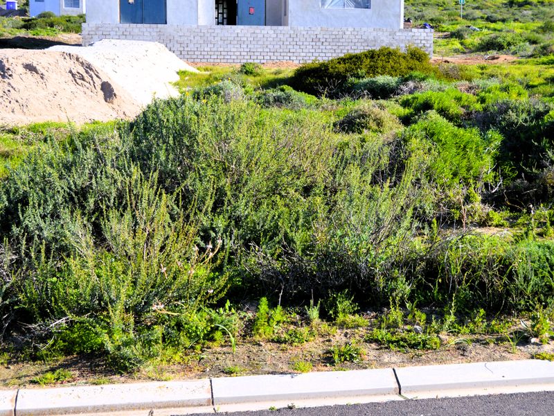 Not to be missed!!! A 324m2 Erf @ R399 000-00 in St Helena Bay. - Photo 3