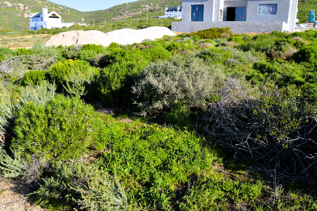 Not to be missed!!! A 324m2 Erf @ R399 000-00 in St Helena Bay. - Photo 5