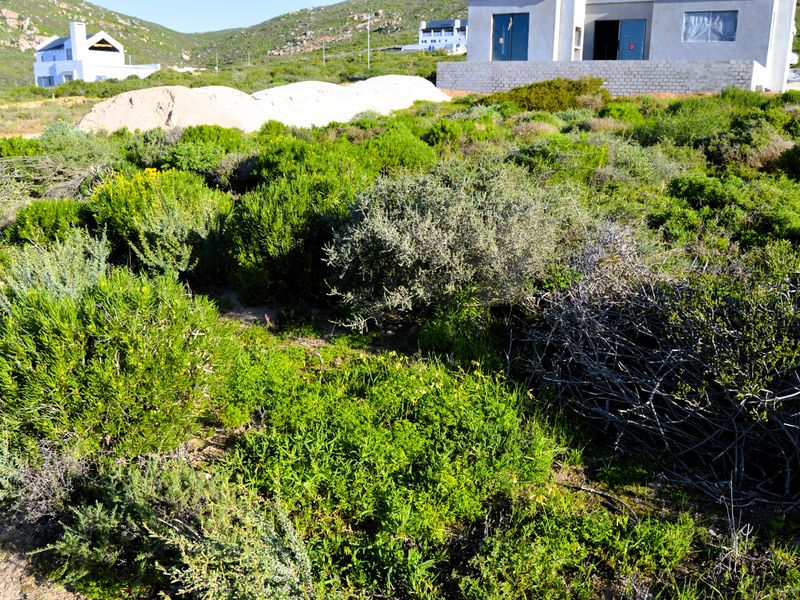 Not to be missed!!! A 324m2 Erf @ R399 000-00 in St Helena Bay. - Photo 5