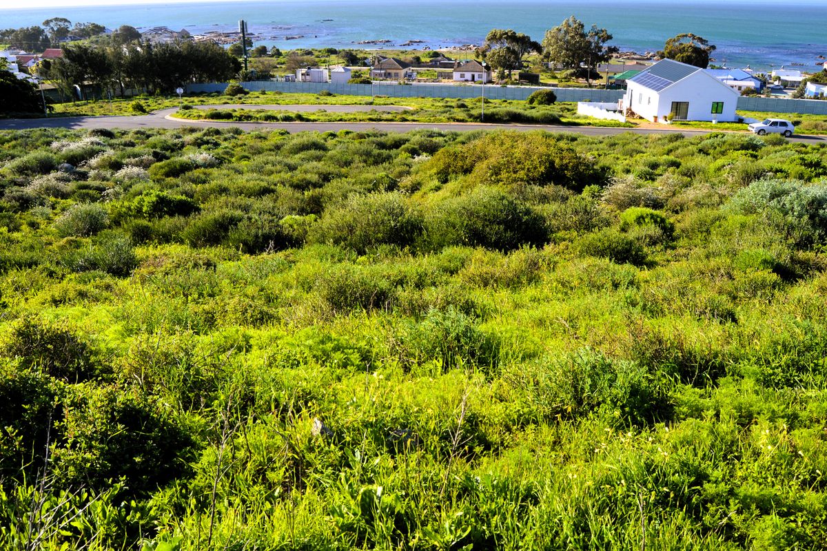 Not to be missed!!! A 508m2 Erf @ R499 000-00 in St Helena Bay. - Photo 5