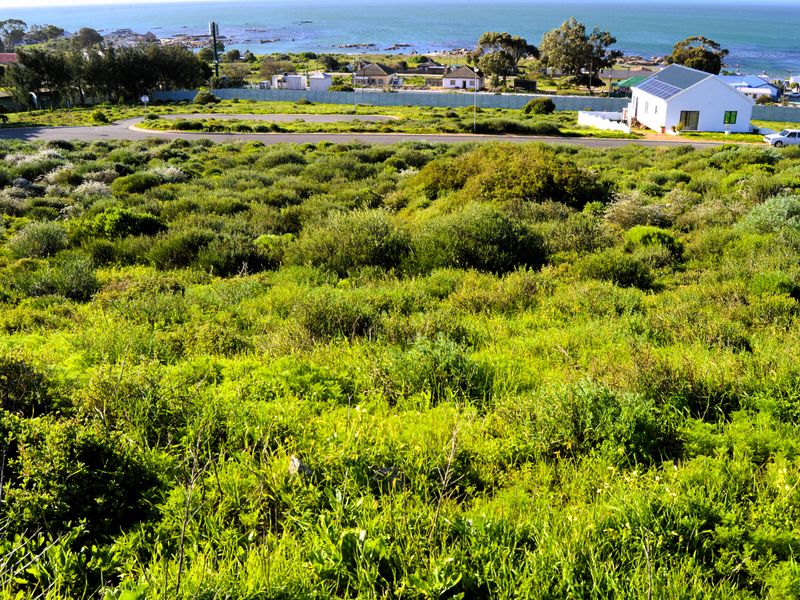 Not to be missed!!! A 508m2 Erf @ R499 000-00 in St Helena Bay. - Photo 5